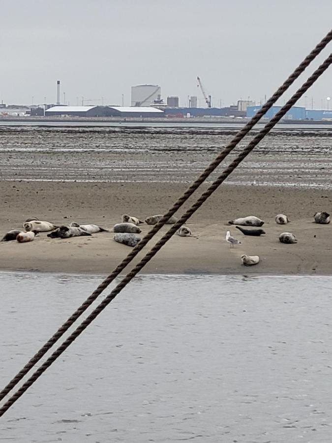 Det Bla Gaestehus Fanø Eksteriør bilde
